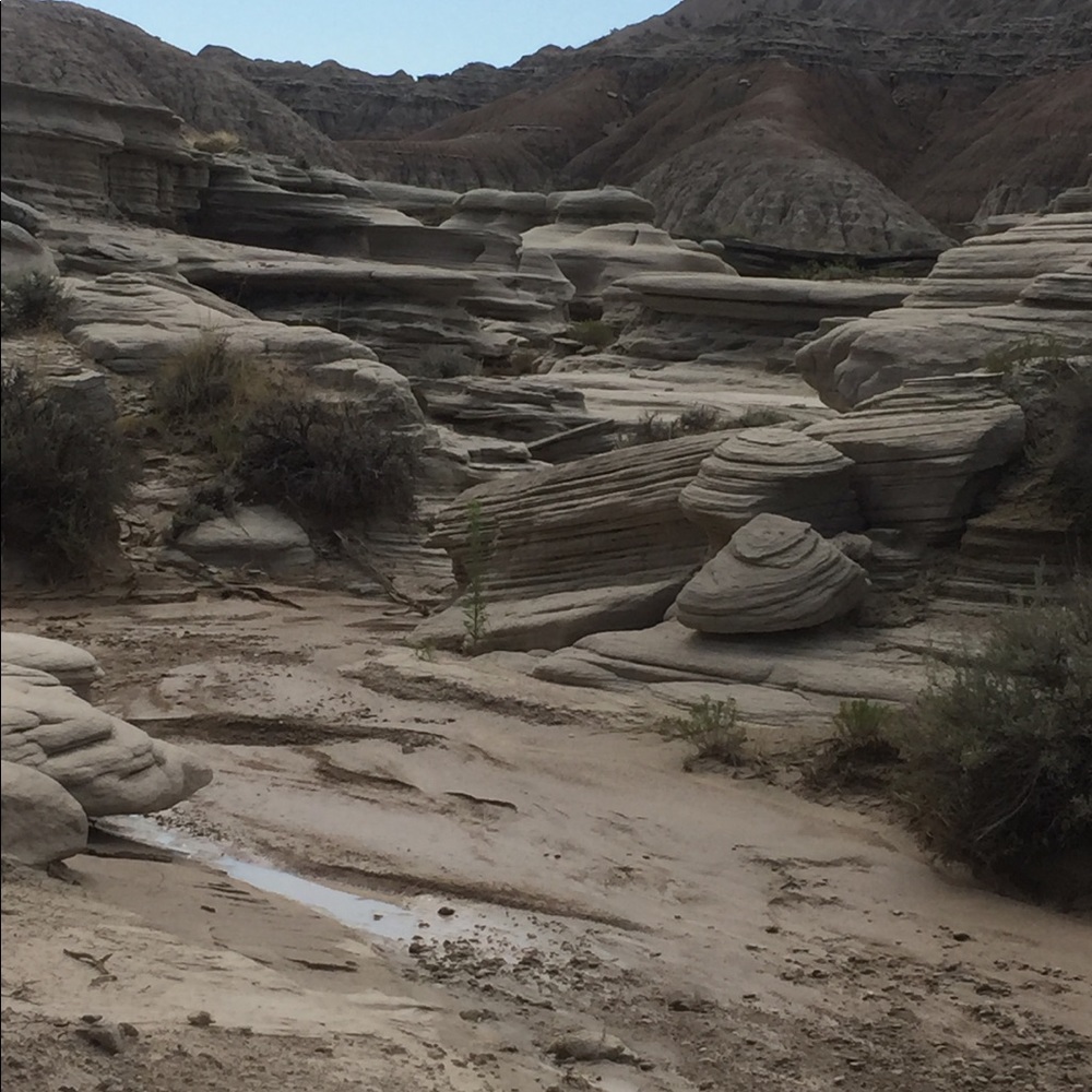 Meet your Posher, Paige